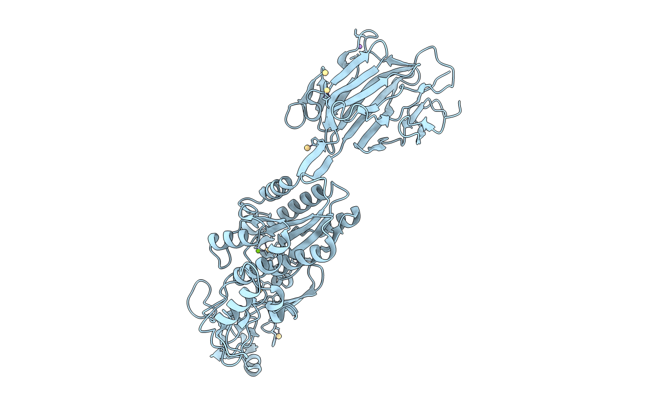 3TXA image