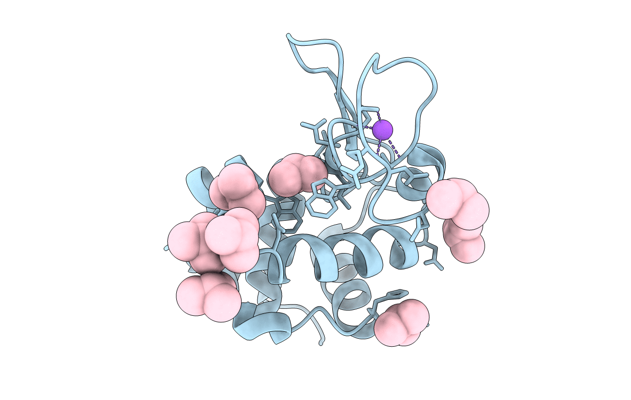 3TXE image