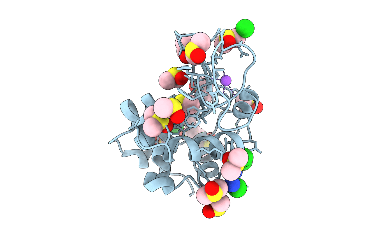 3TXG image