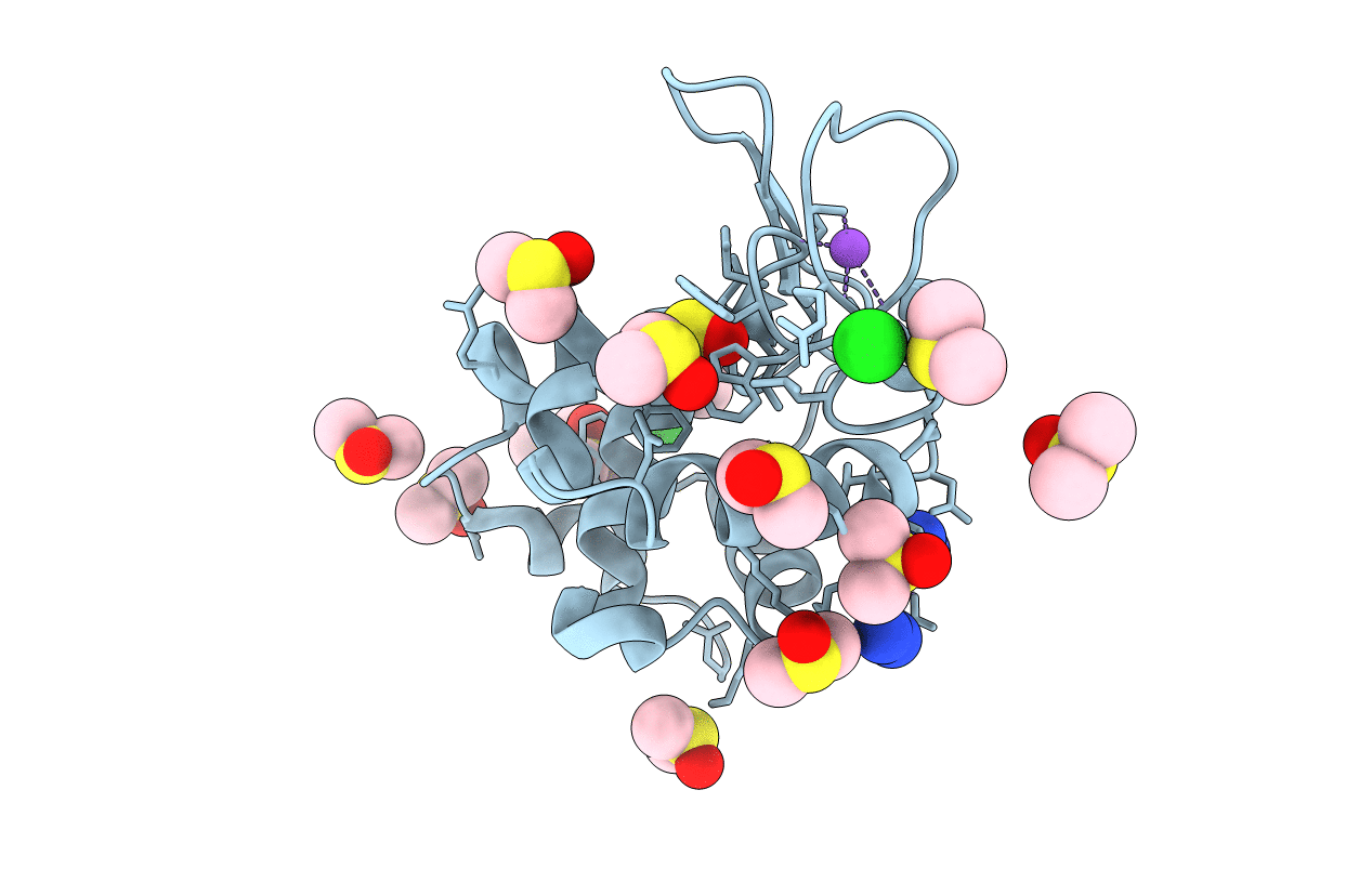 3TXI image
