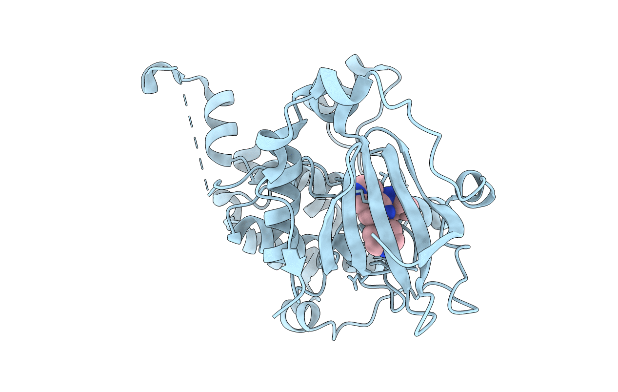 3TXO image