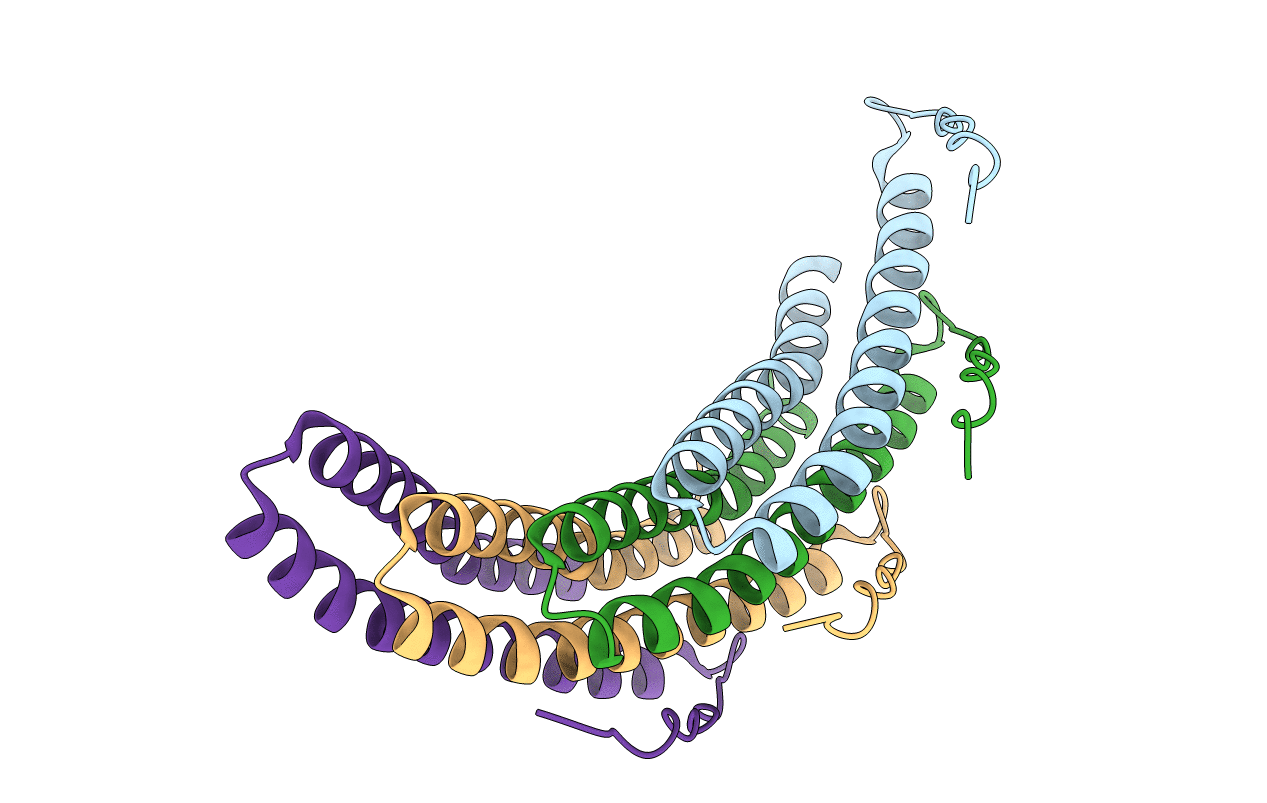 3TXS image