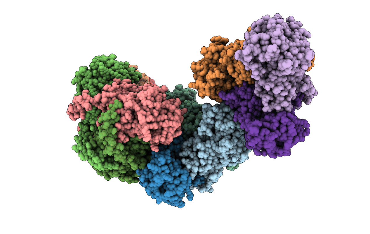 3TXX image