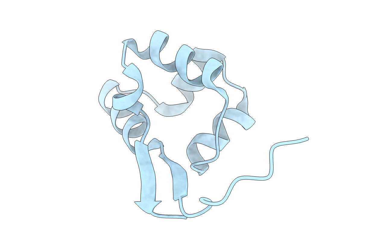 3TYS image
