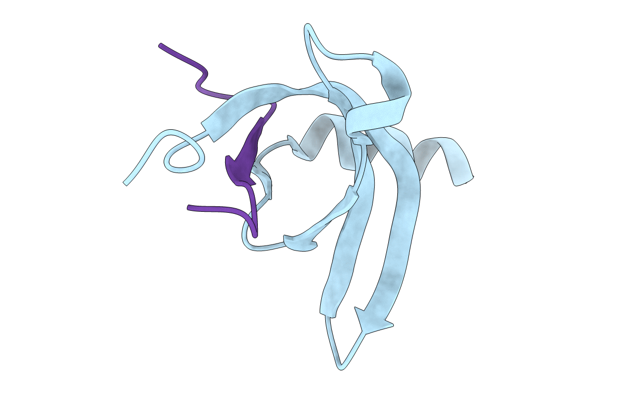 3TZD image