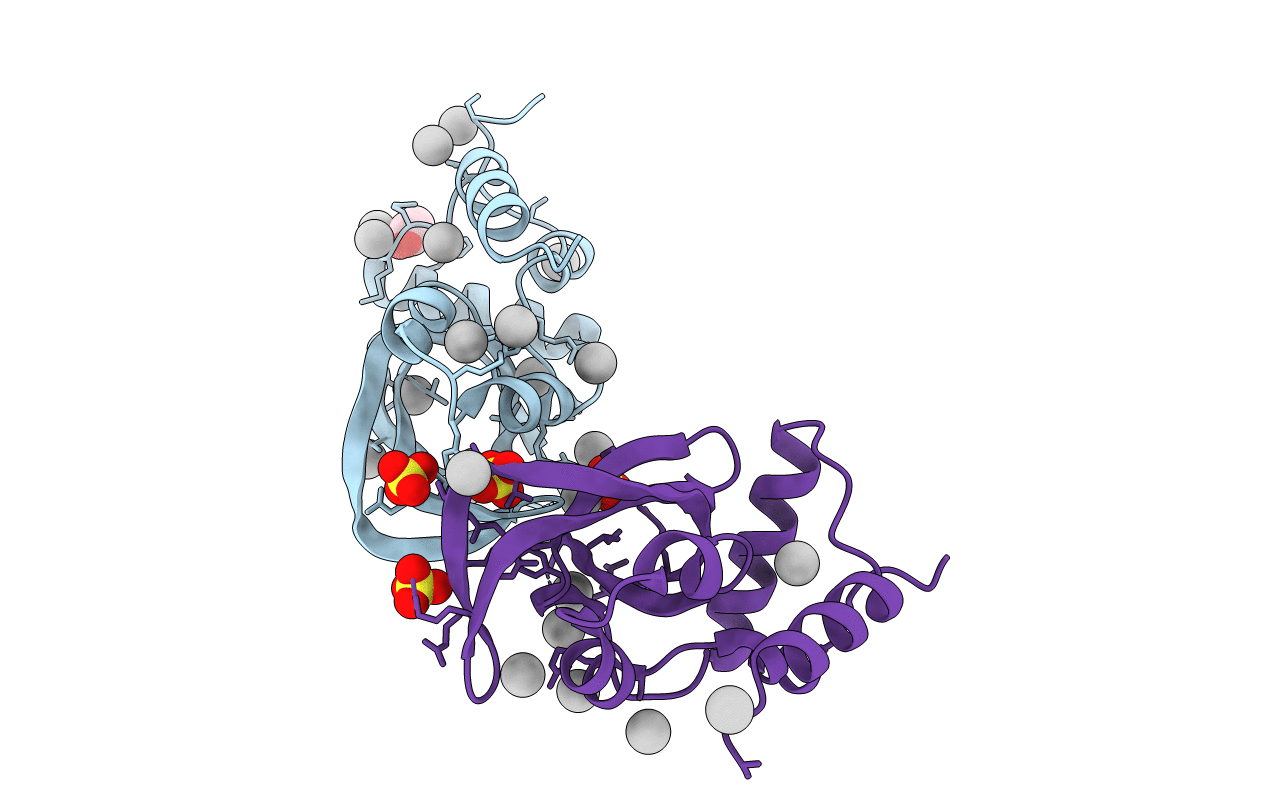 3U1U image