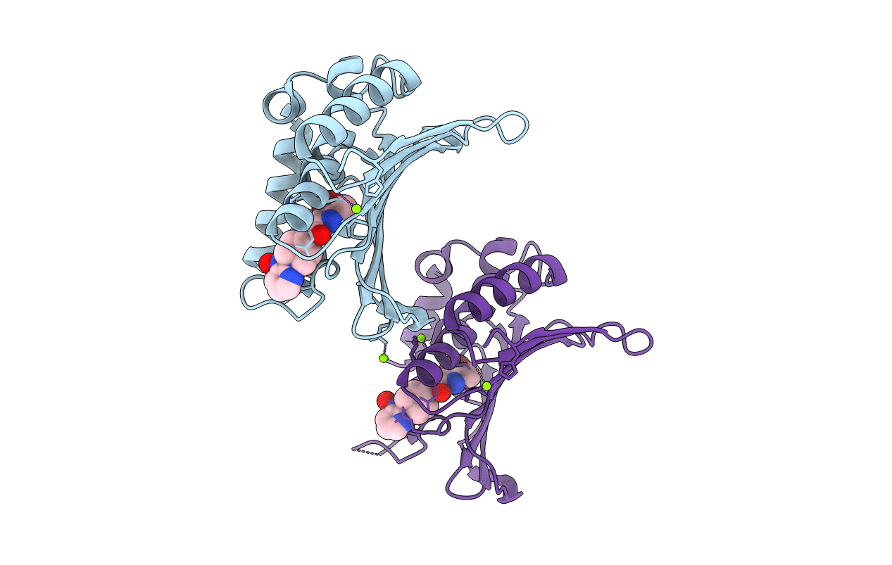 3U2D image