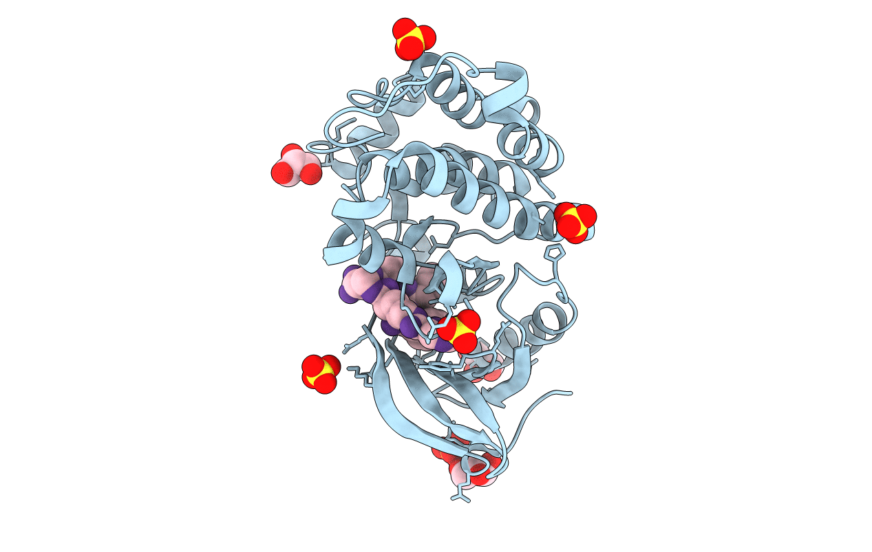 3U4W image