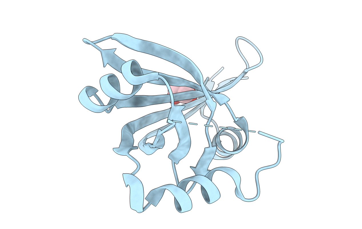 3U5W image