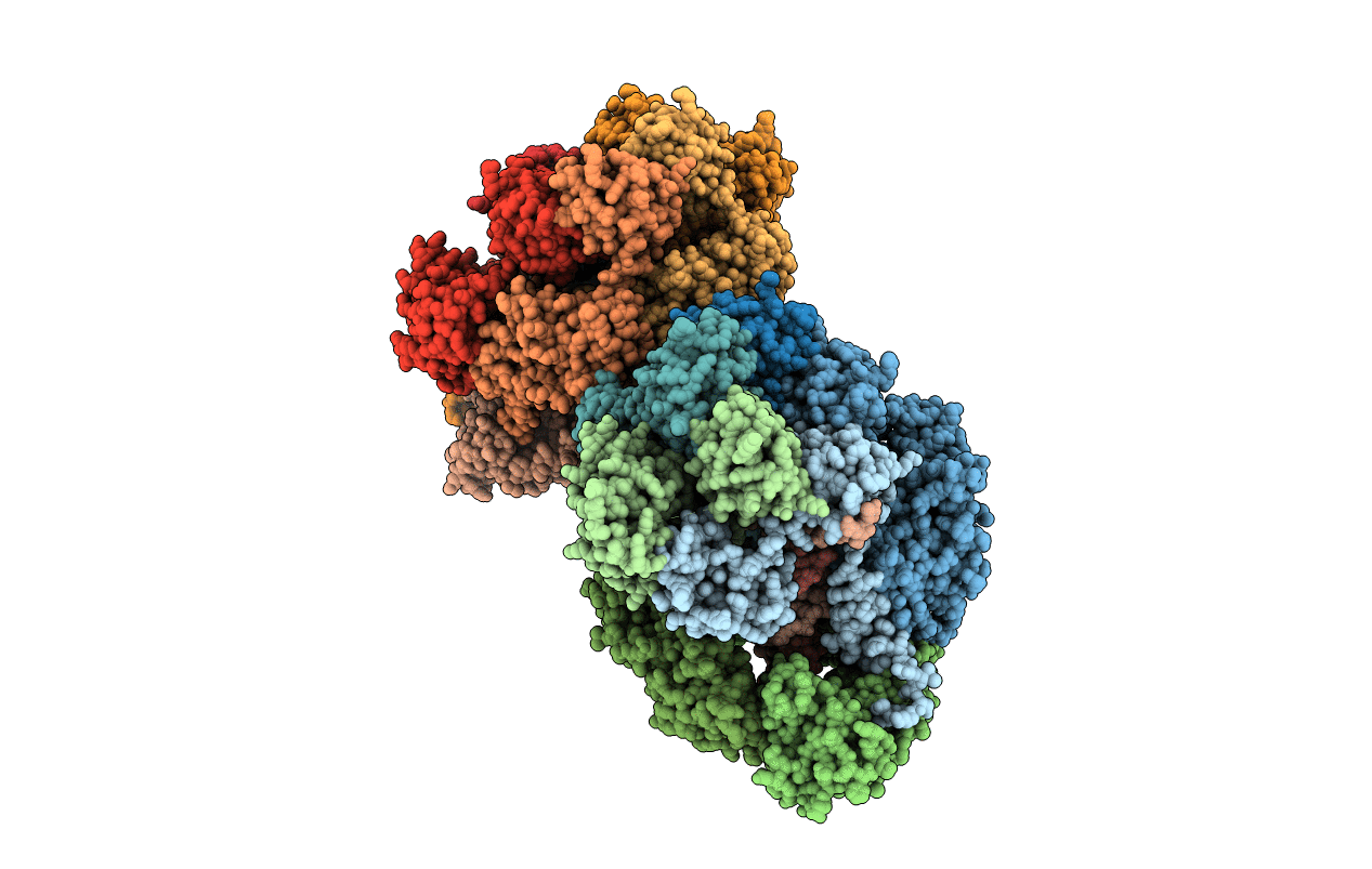 3U5Z image