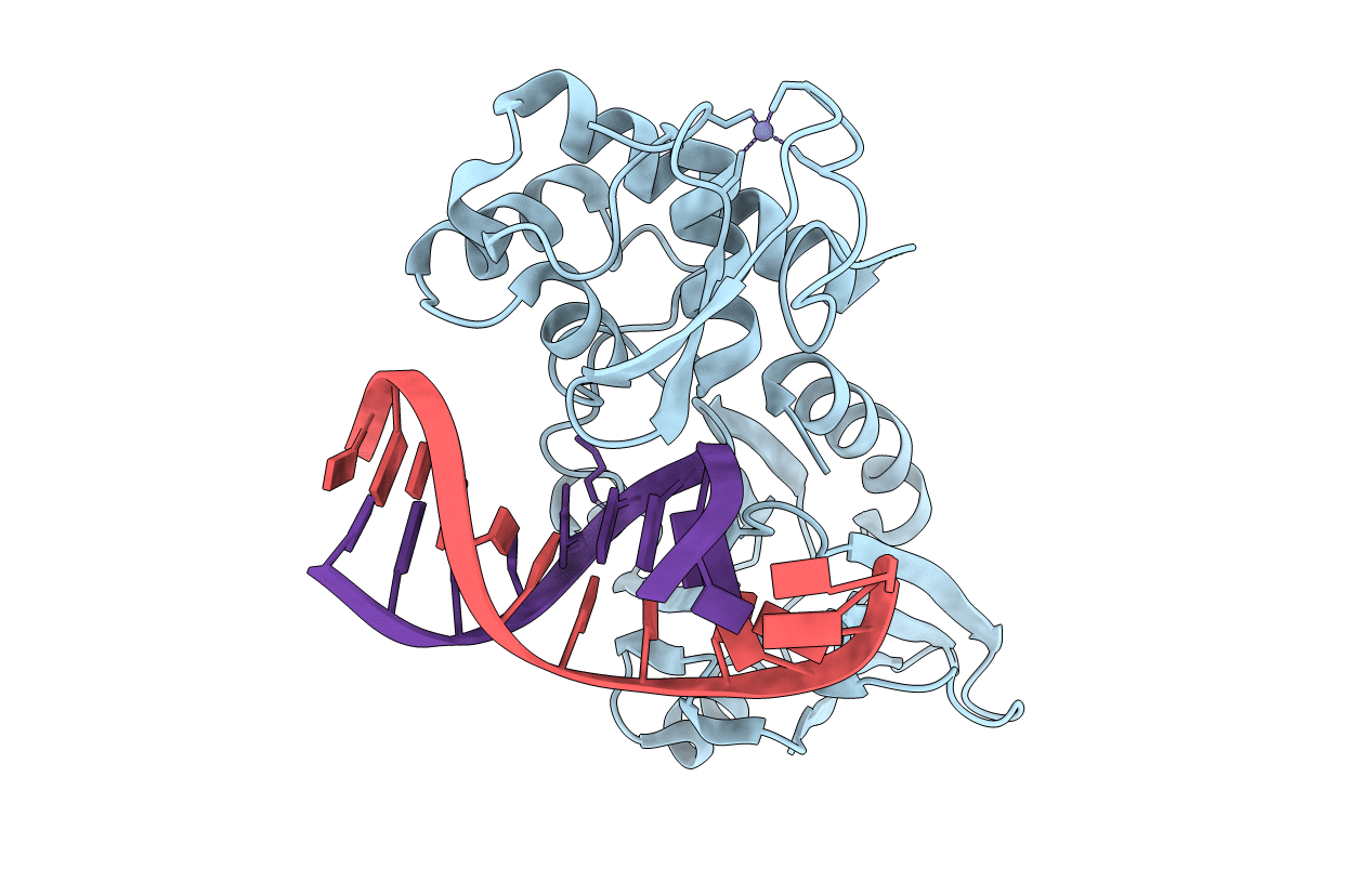 3U6D image