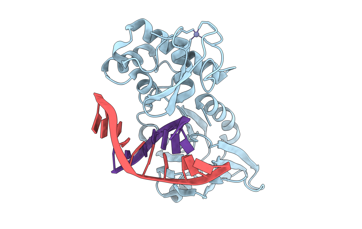 3U6M image