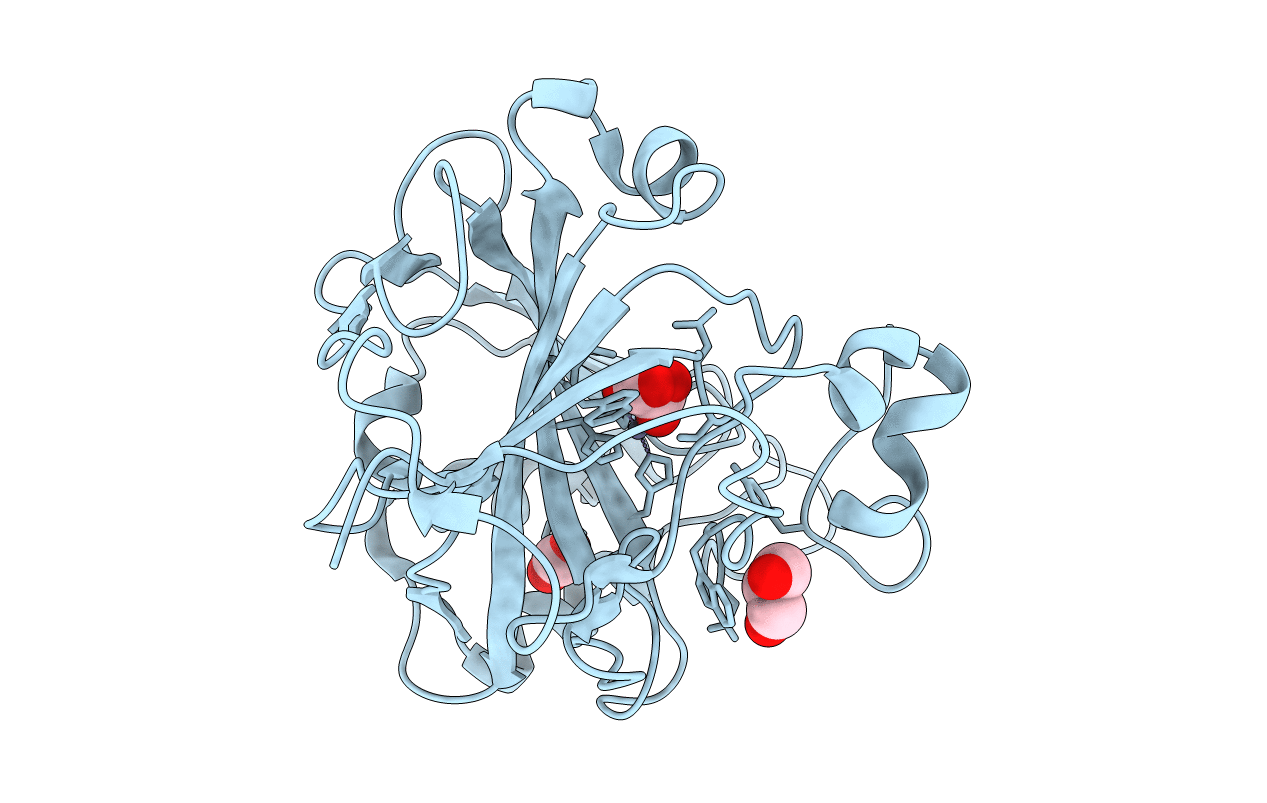 3U7C image