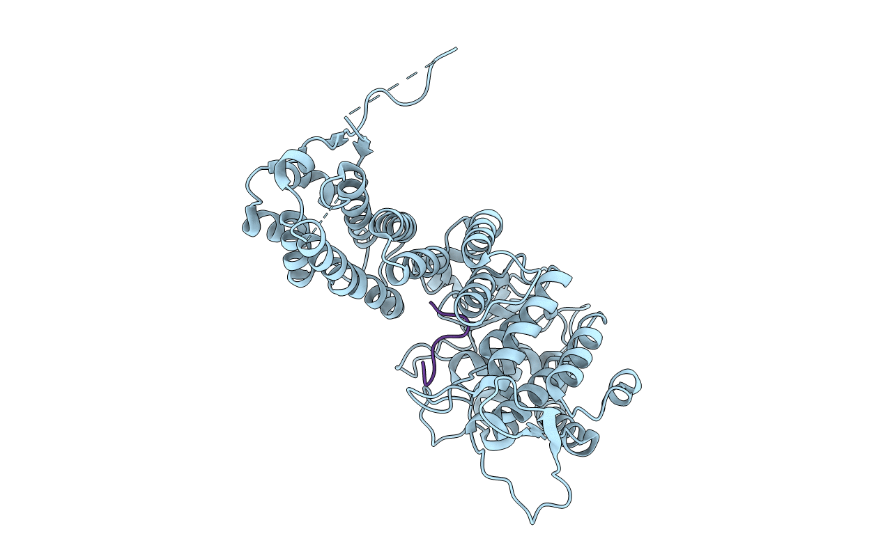 3U85 image