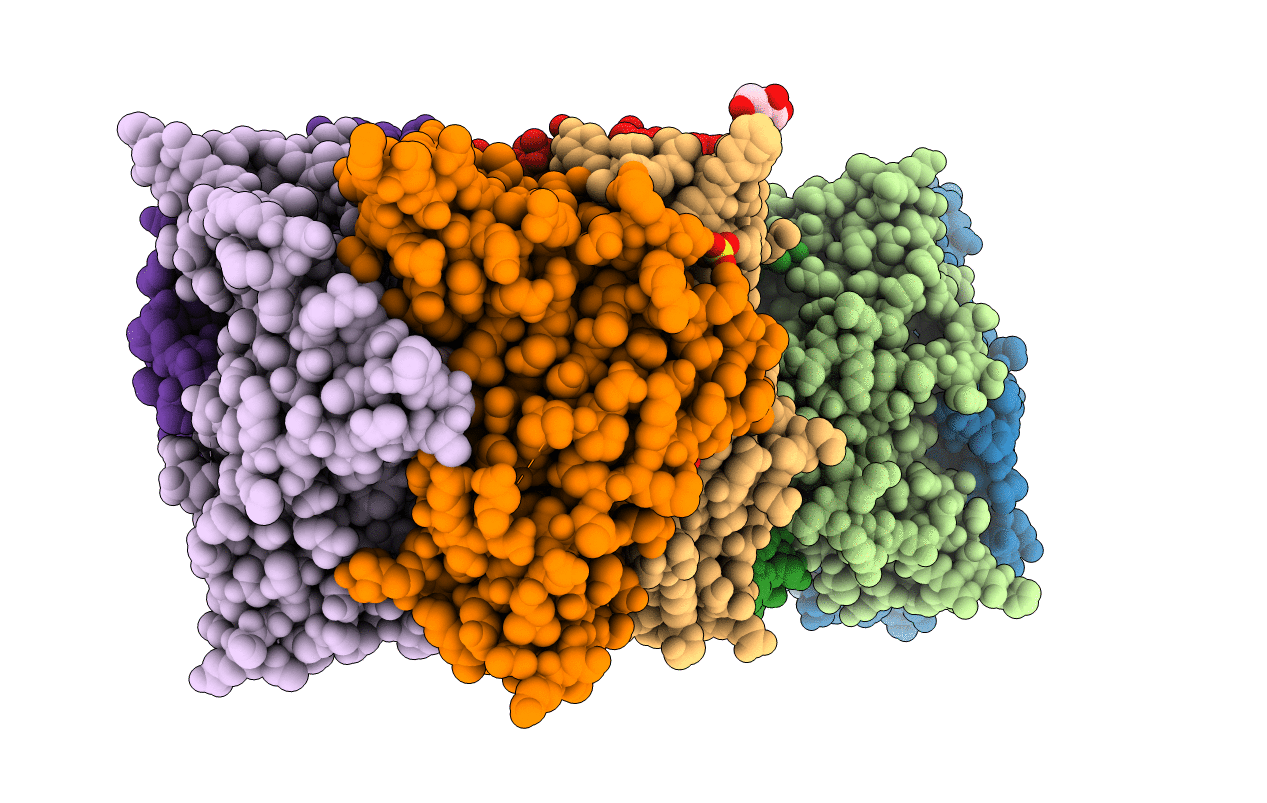 3U8J image