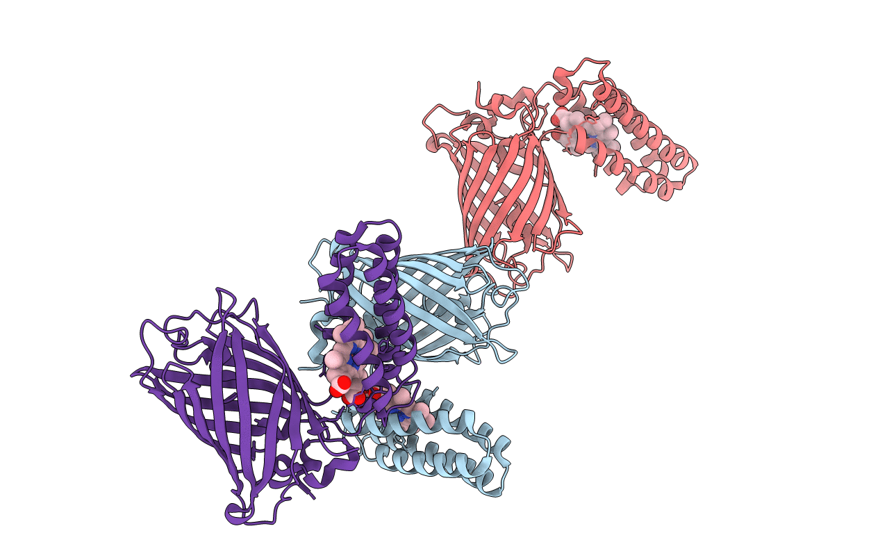 3U8P image