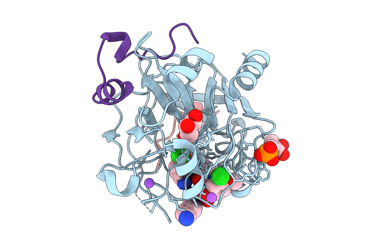 3U9A image