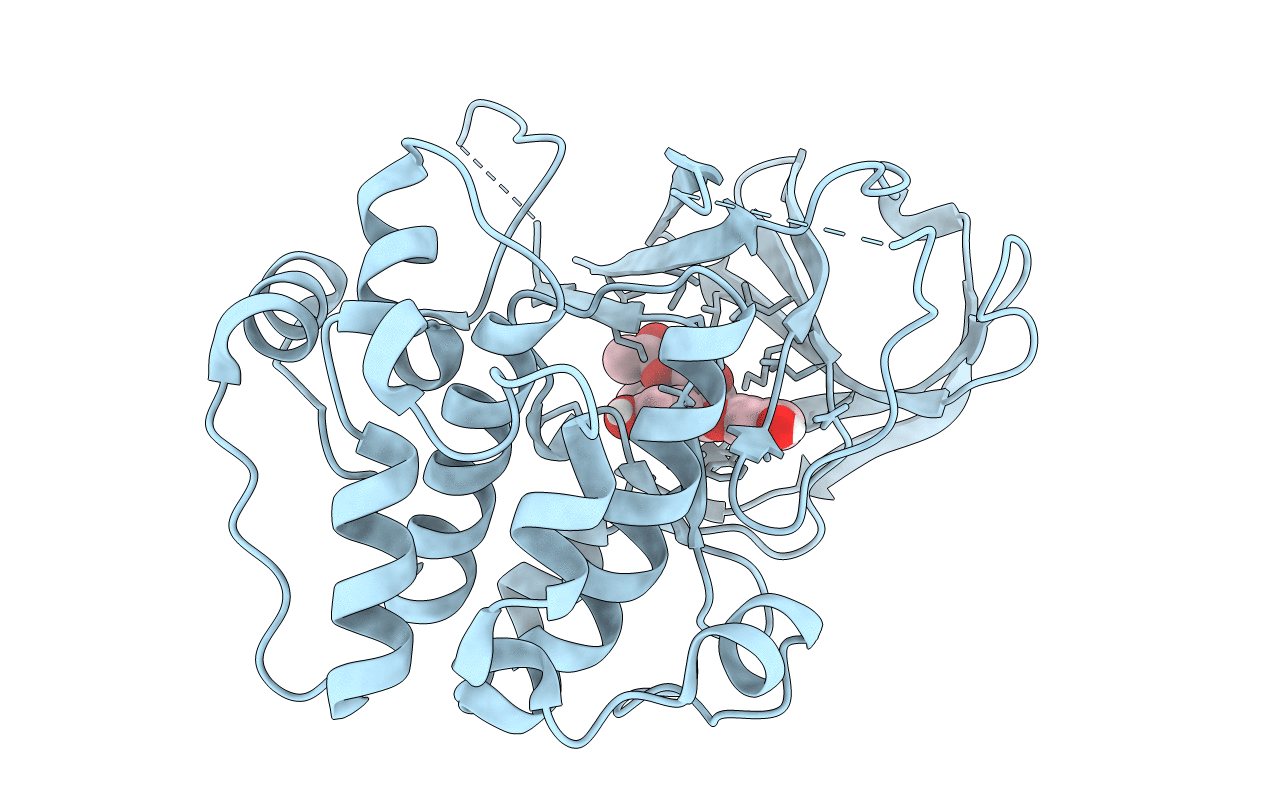 3UBD image