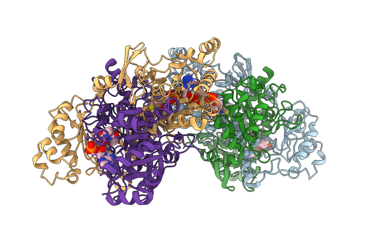 3UBM image