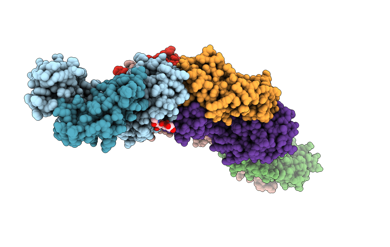 3UBX image