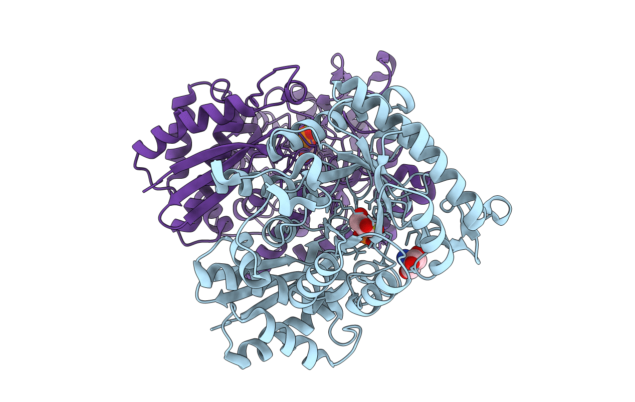 3UCC image