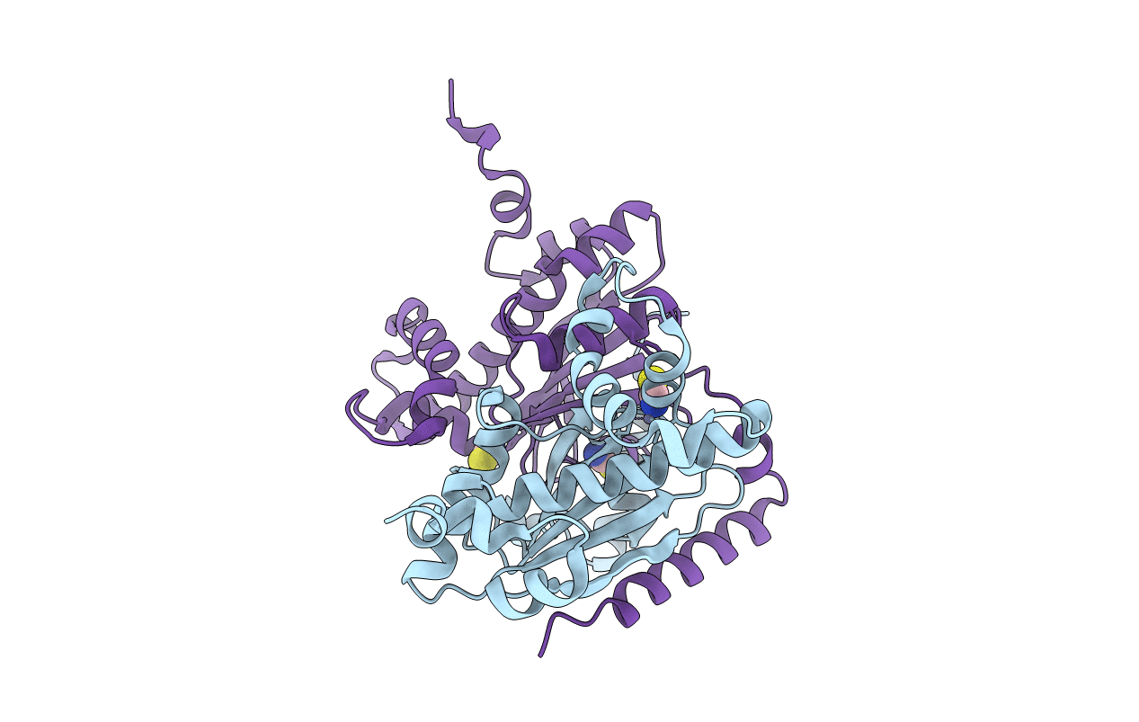 3UCM image