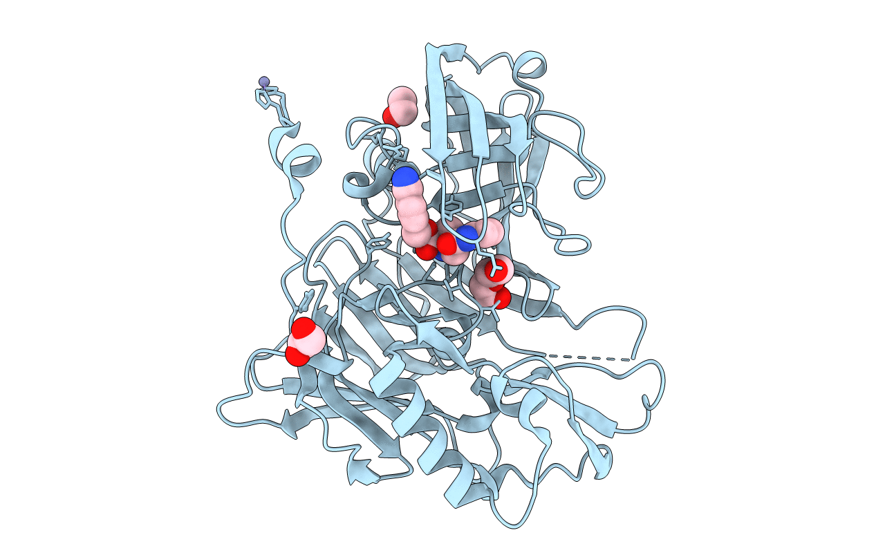 3UDN image