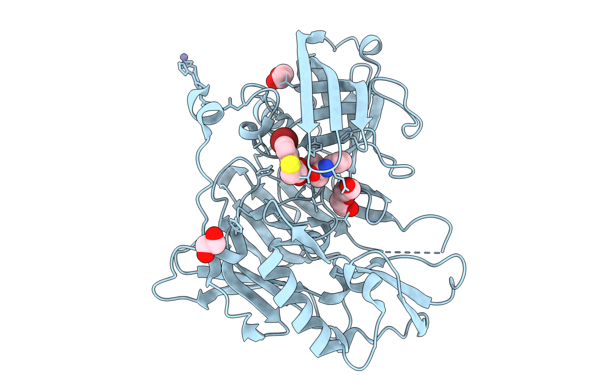 3UDP image