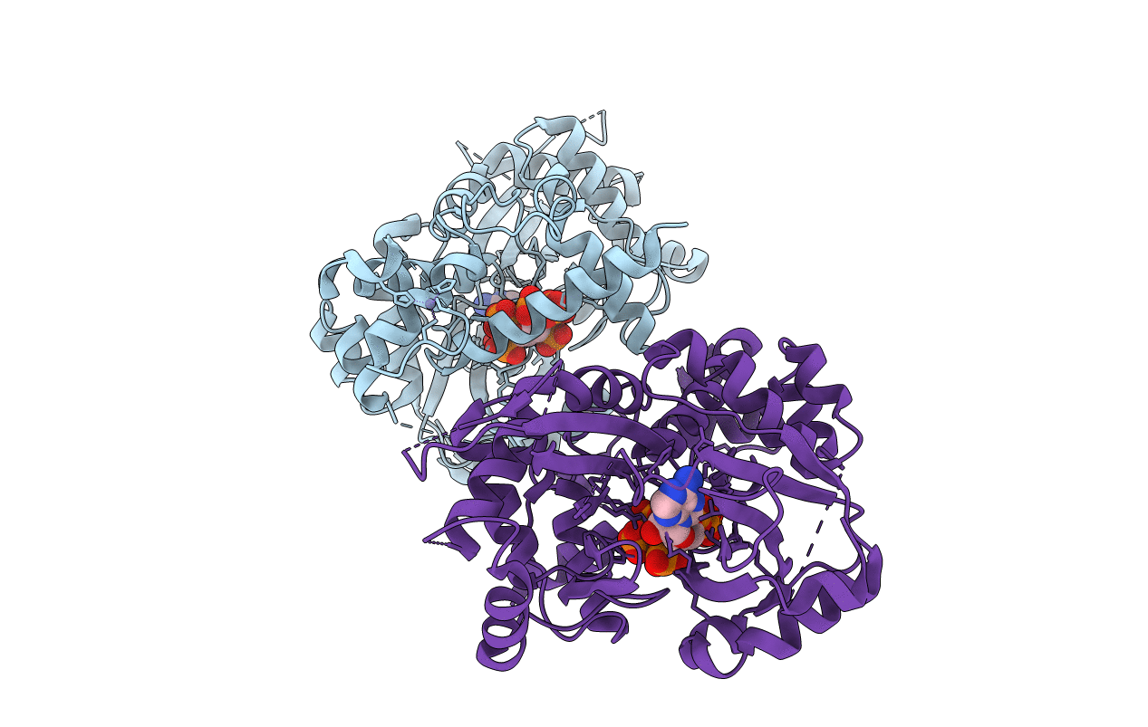 3UDT image