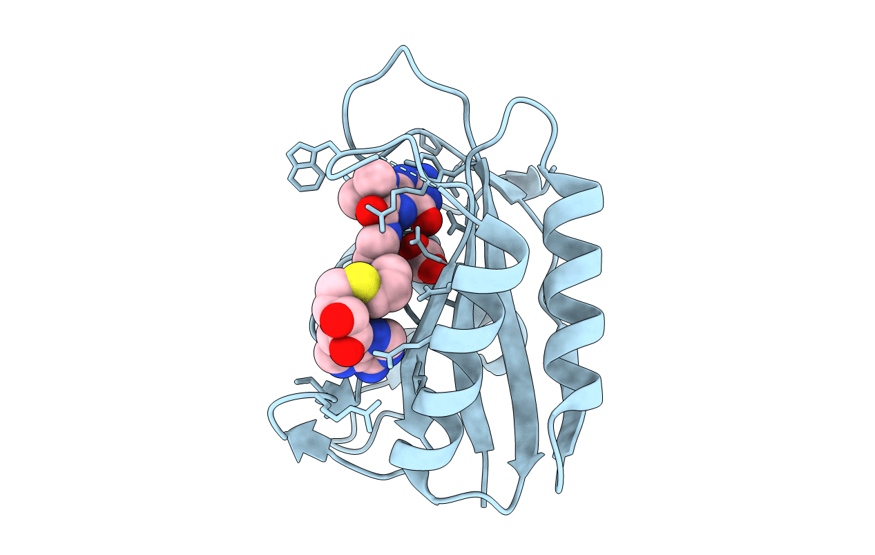 3UDV image
