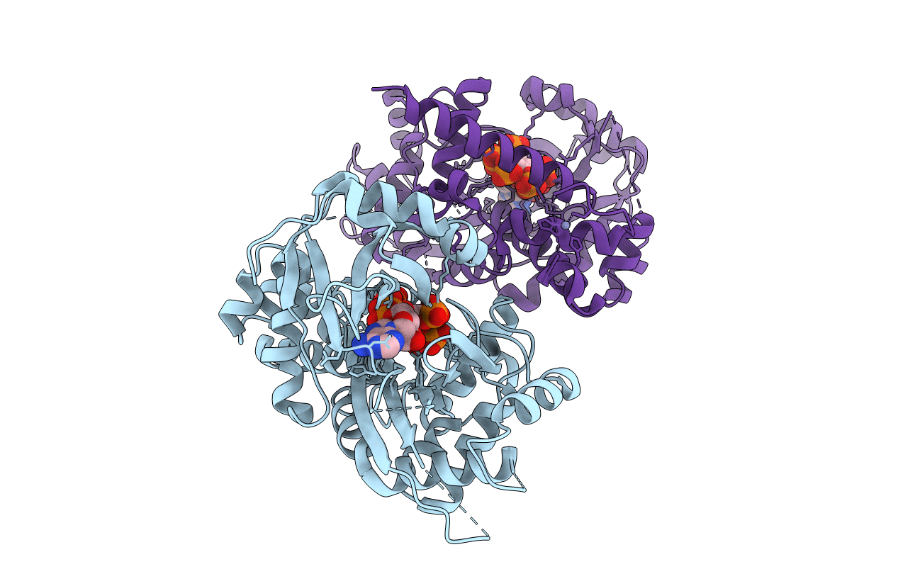 3UDZ image