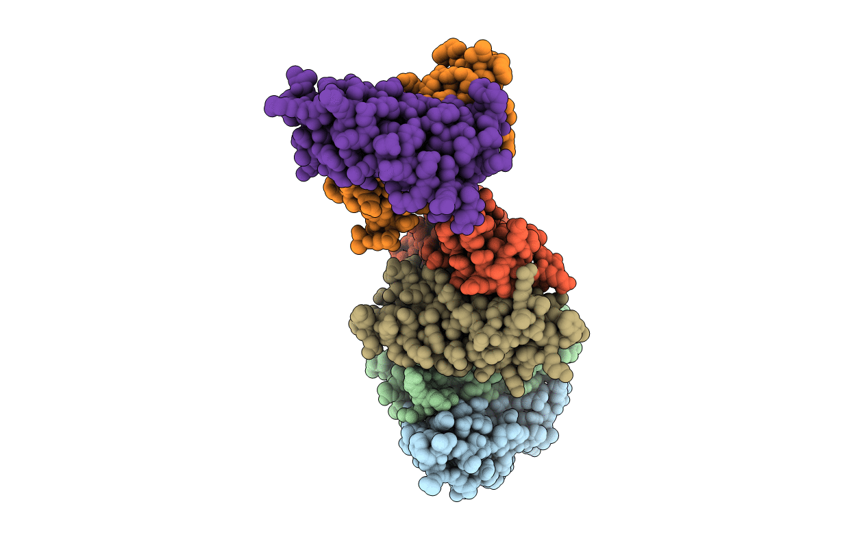 3UEB image