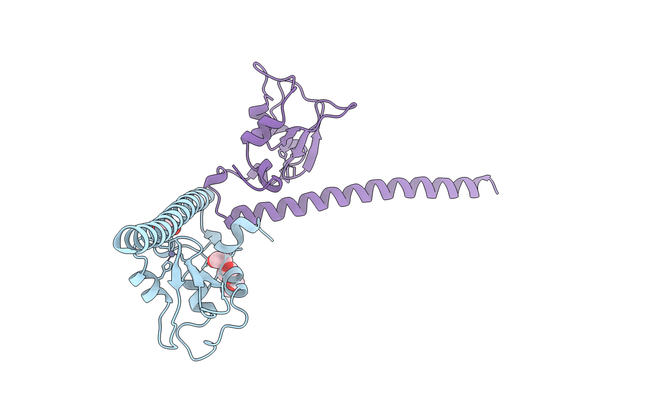 3UEG image