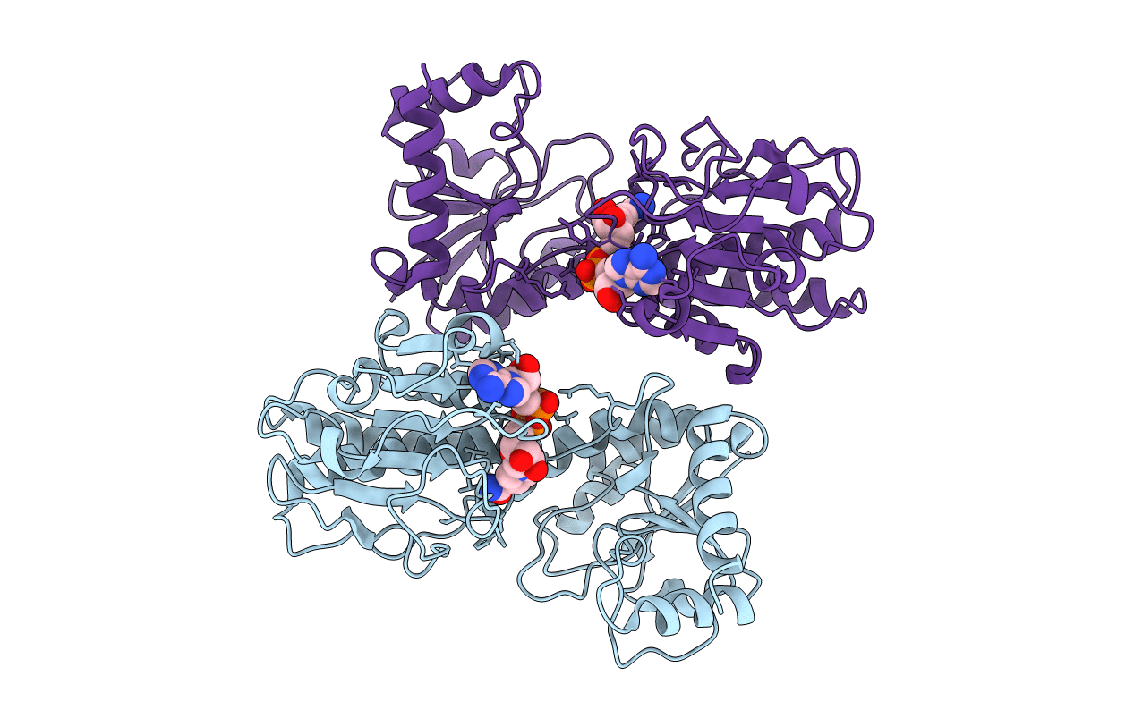 3UHA image