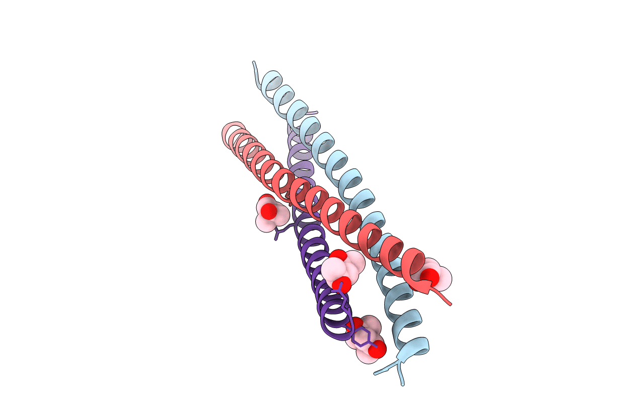 3UIA image