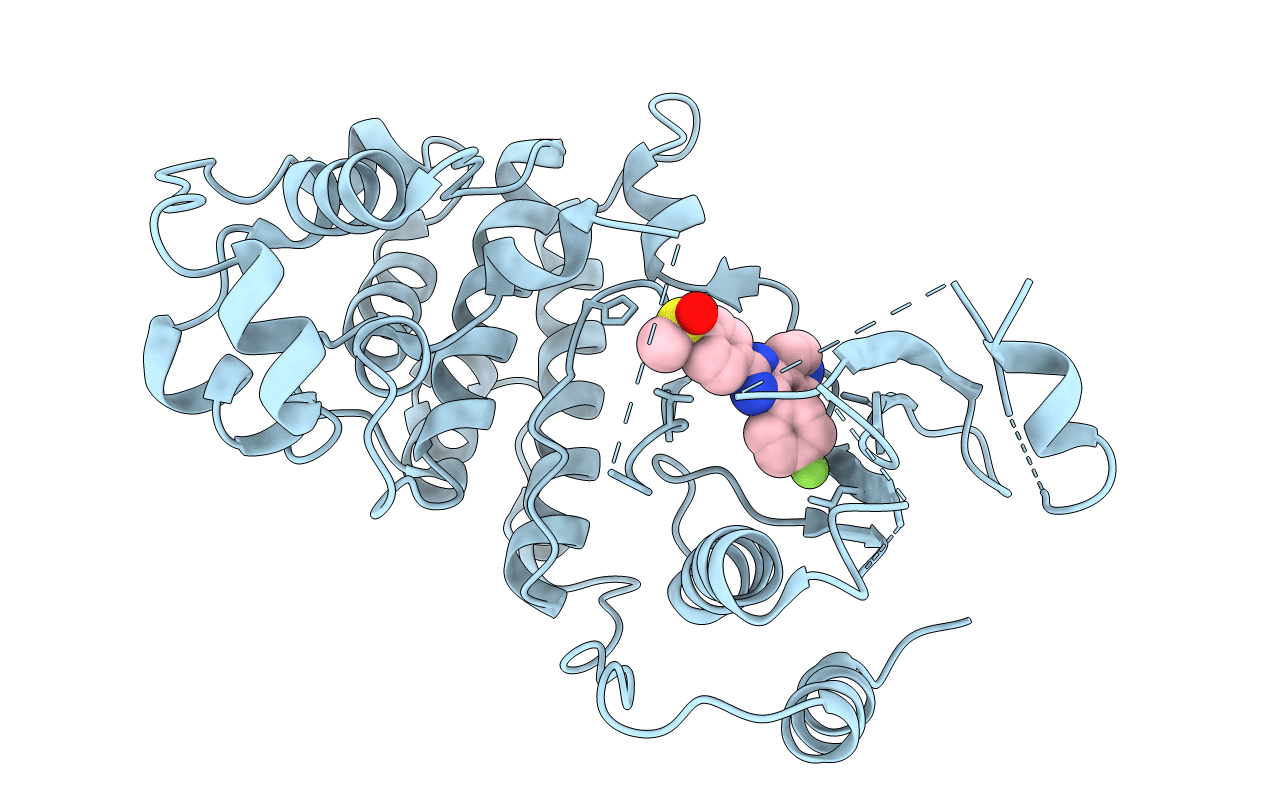 3UIB image