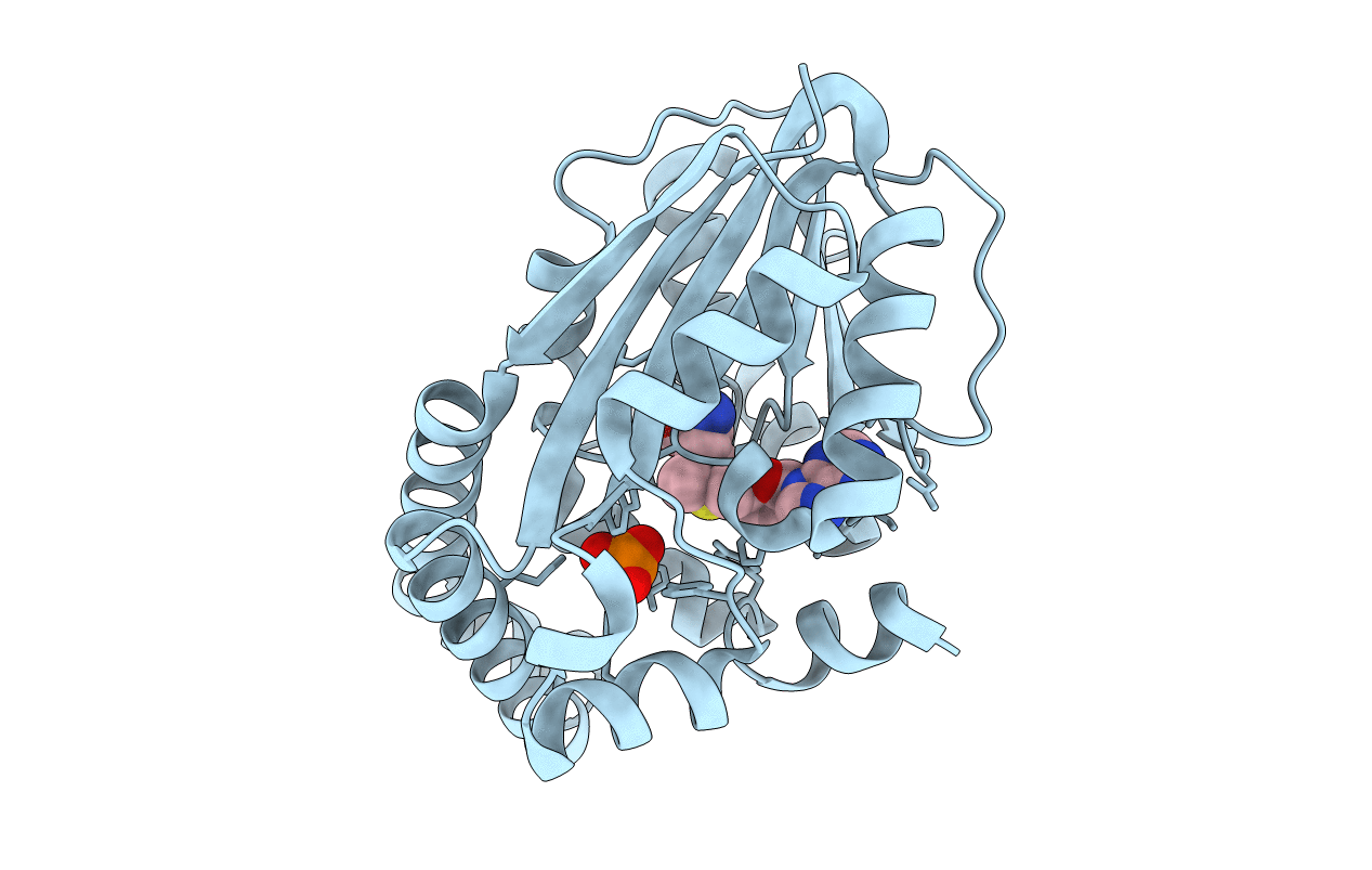 3UJ6 image