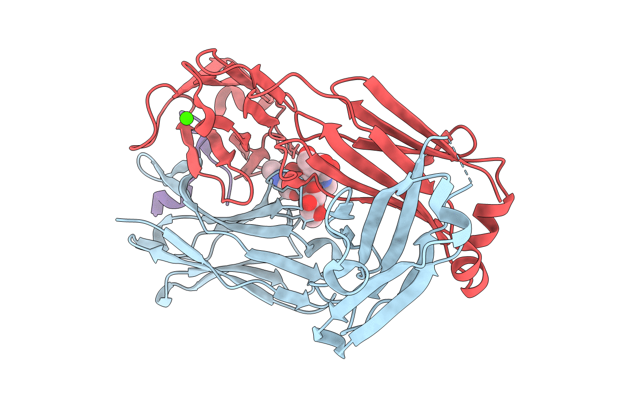 3UJI image