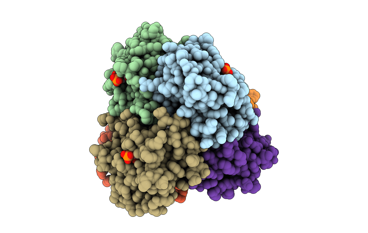 3ULF image