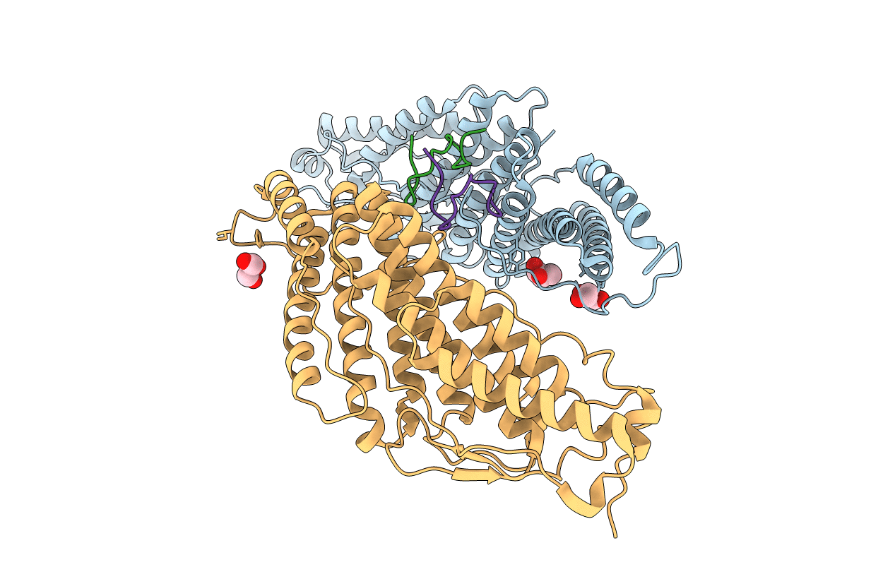 3UM2 image