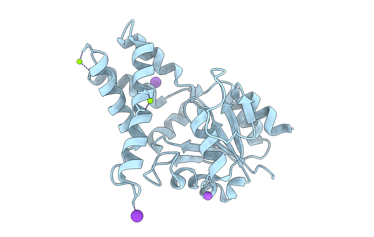 3UMB image