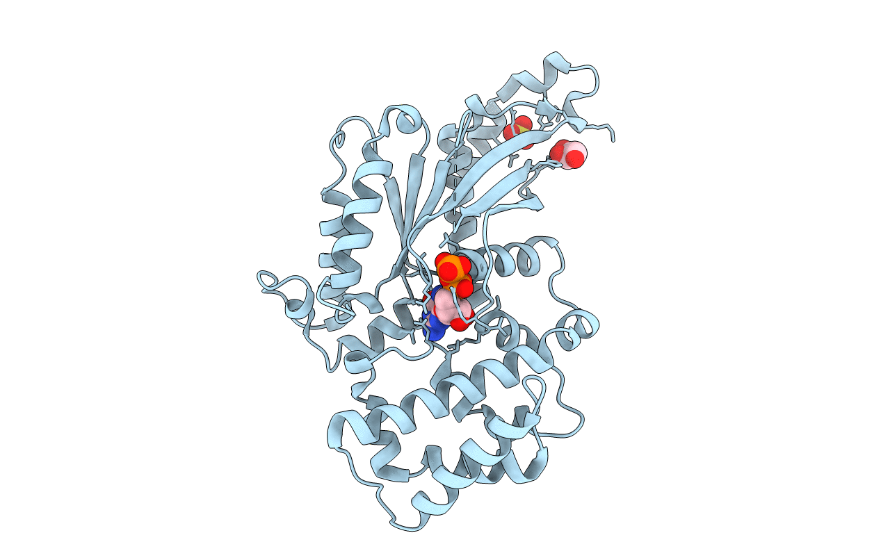 3UMR image