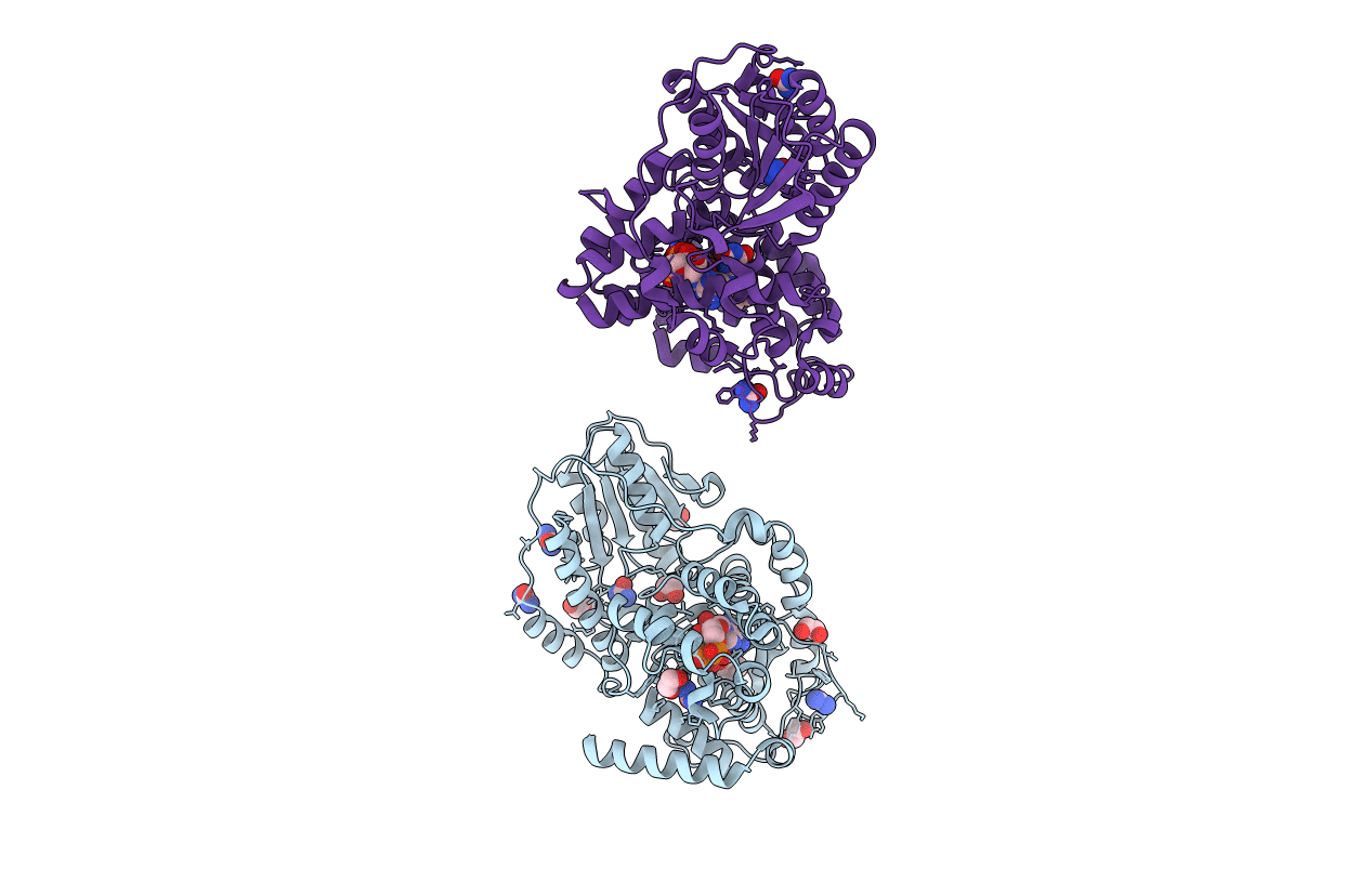 3UMV image