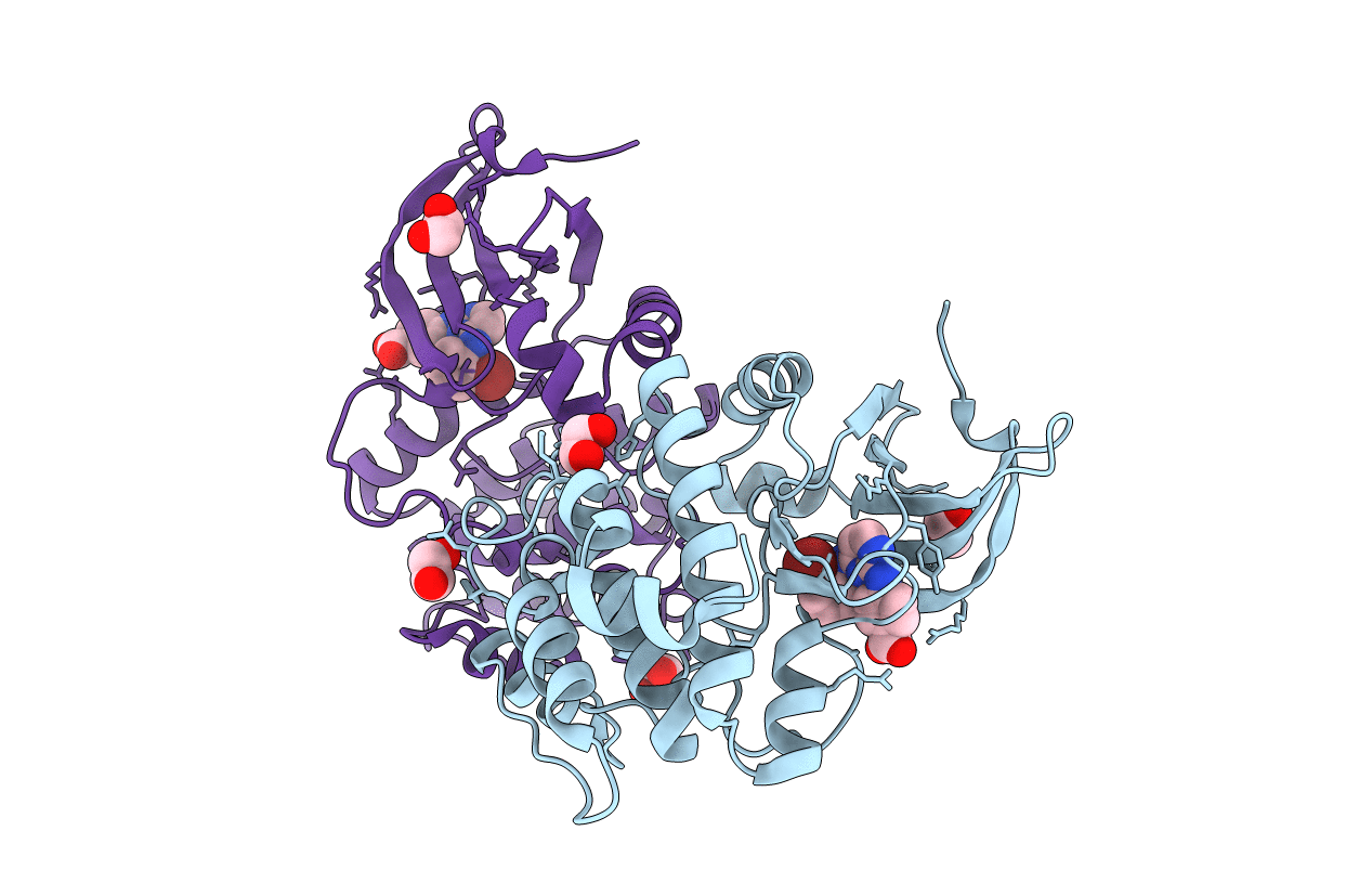3UOH image