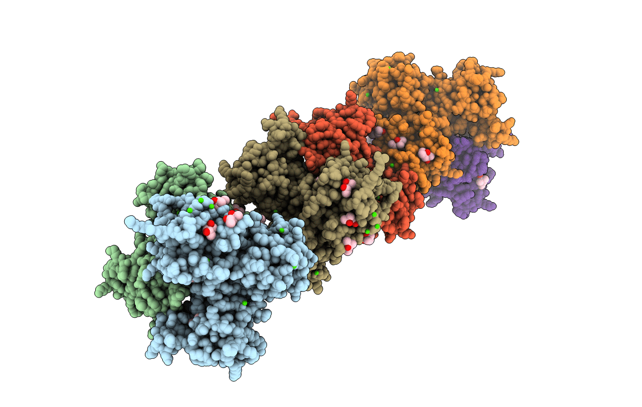 3UOM image