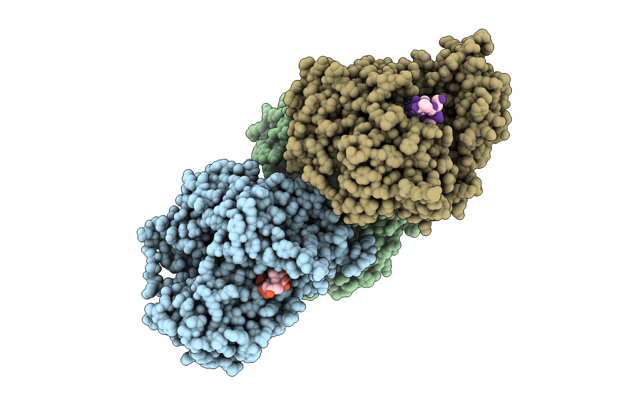 3UPU image