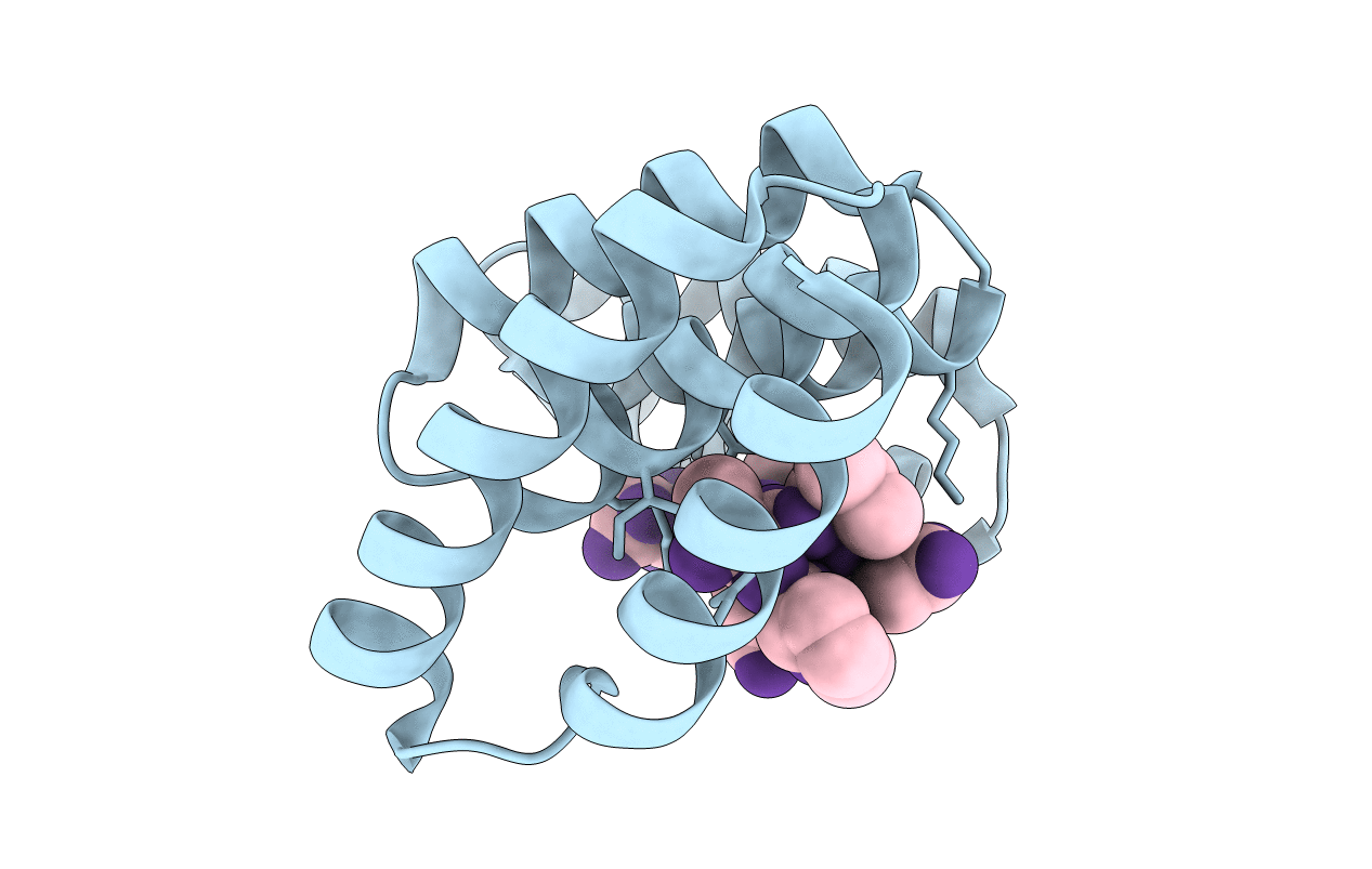 3UPV image