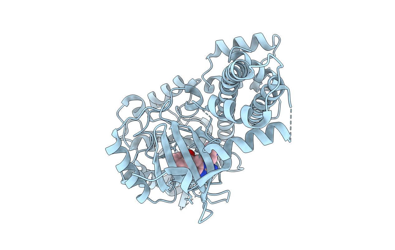 3UPX image