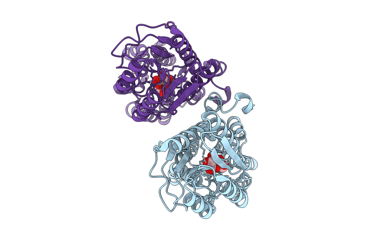 3URM image