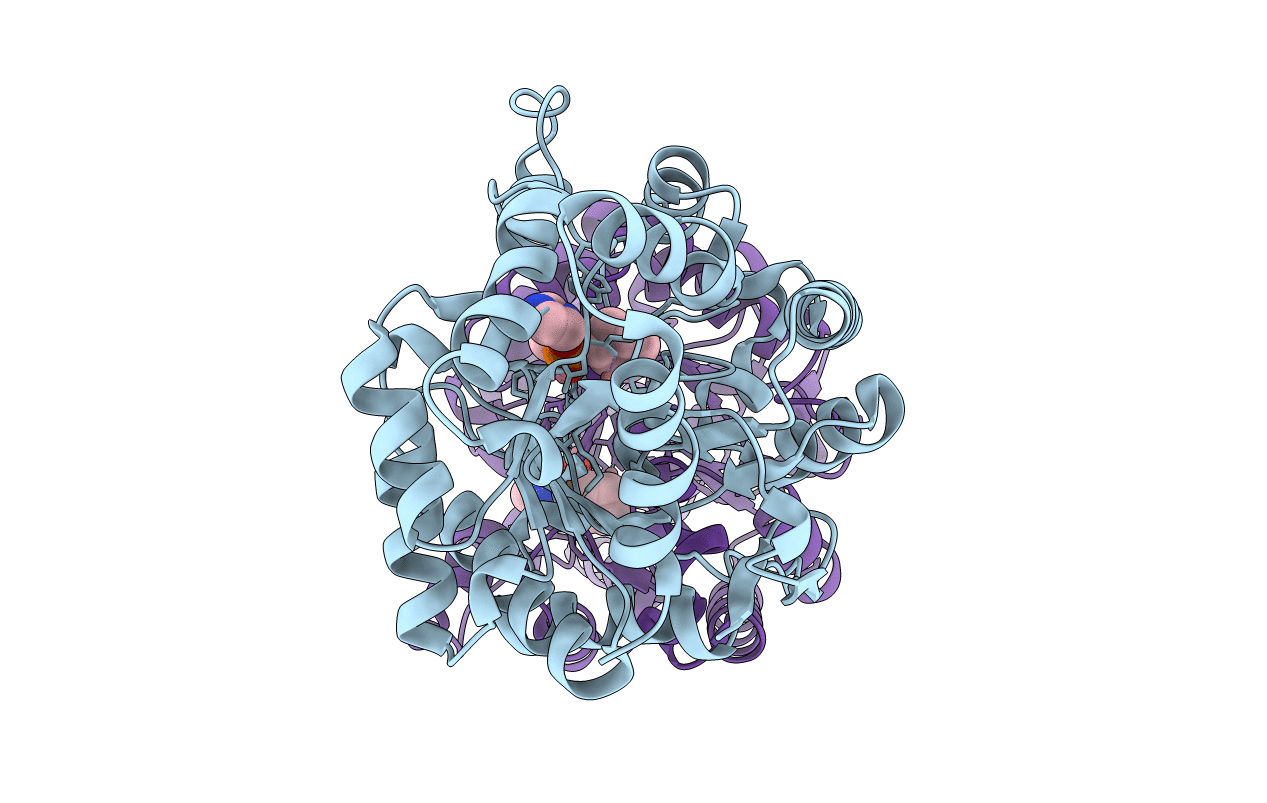 3URN image